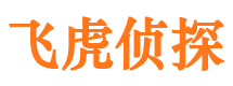 广河市私家侦探